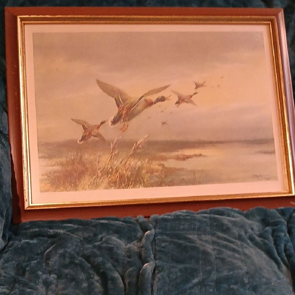 Print 'Over the Salt Flats' flying mallards By W E Powell KS16PM1